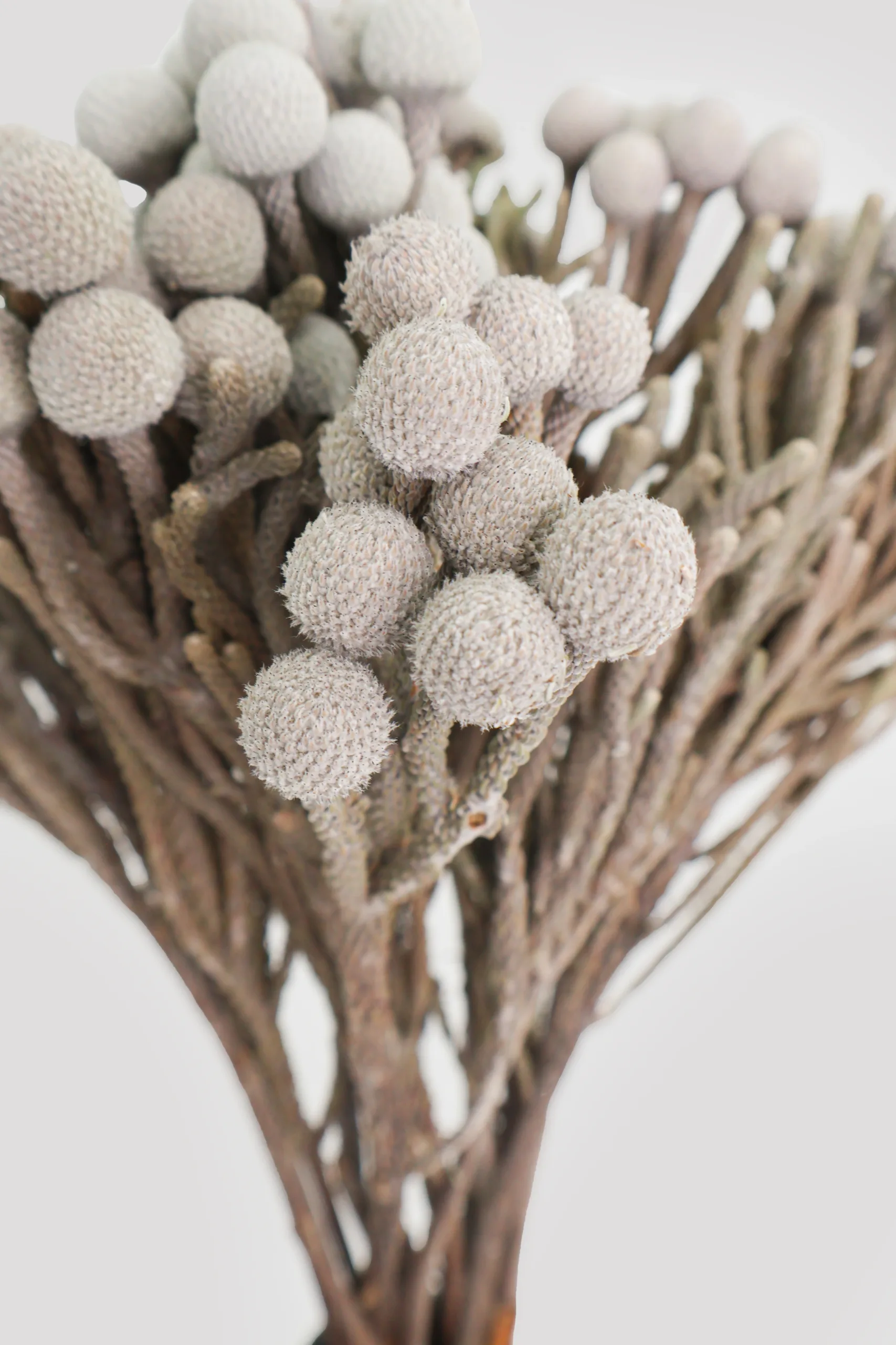 Brunia Silver Gris Detalle 1