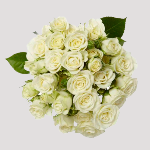 Spray Rose Snowflake