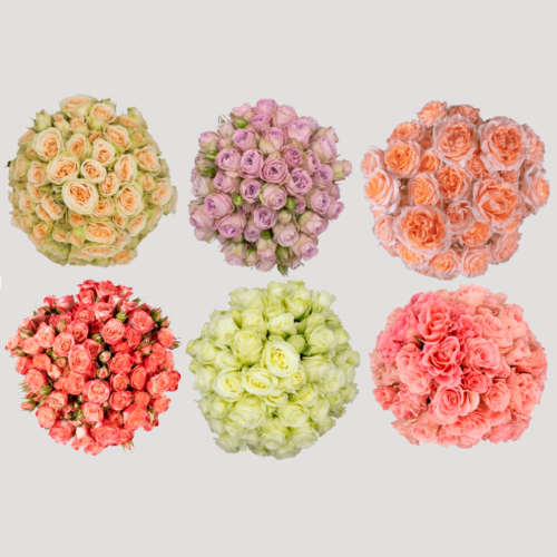Spray Rose Mix