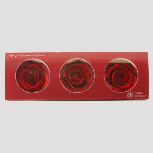 Preserved Roses Red