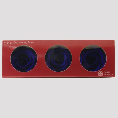 Sapphire Blue Preserved Roses