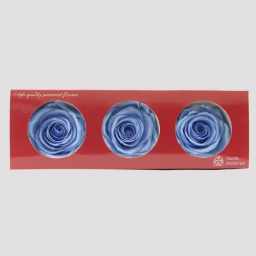 Preserved Roses Turquoise