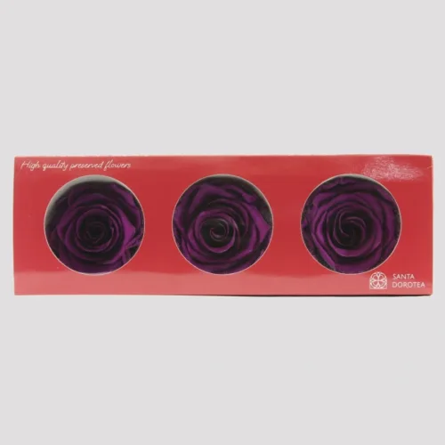 Violet Preserved Roses