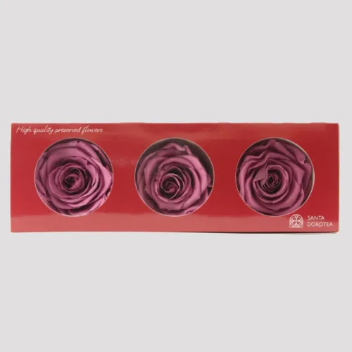 Lilac Preserved Roses