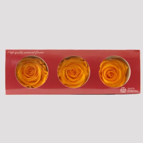 Preserved Roses Saffron Yellow