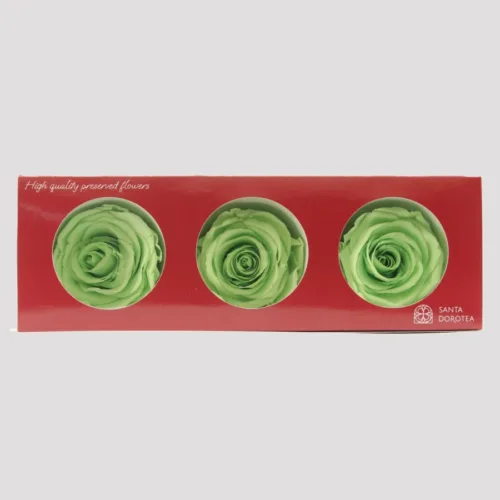 Preserved Roses Lime Green
