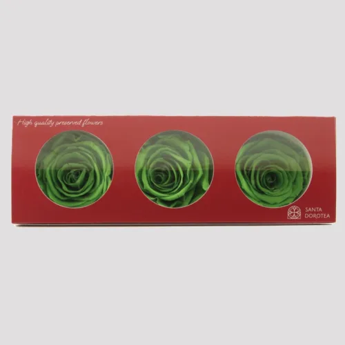 Green Preserved Roses