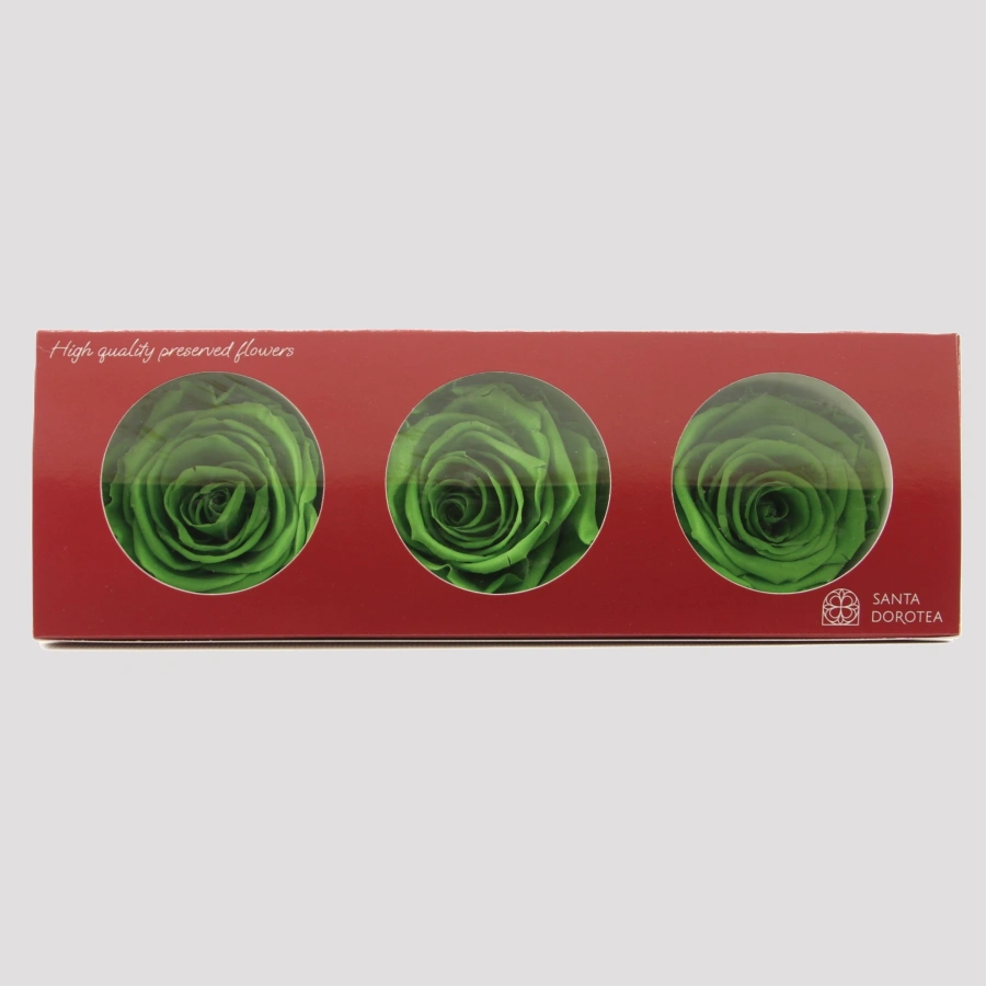 Rosas Preservadas Verdes
