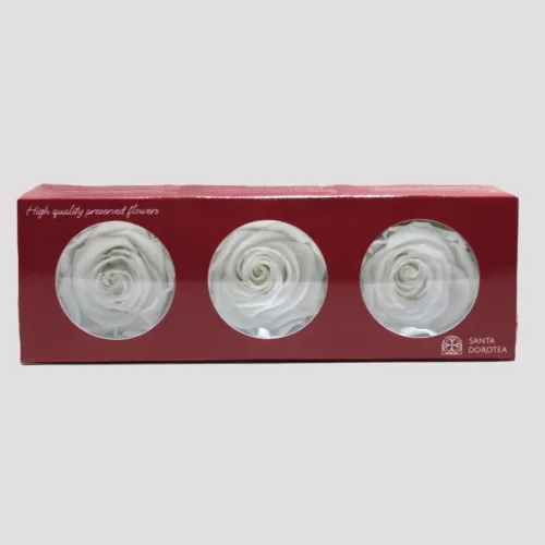 Preserved White Roses