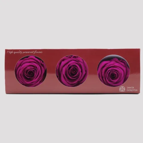 Preserved Pink Roses