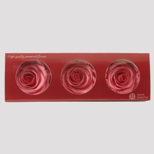 Preserved Roses Madeleine Pink