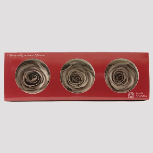 Preserved Roses Sand Beige