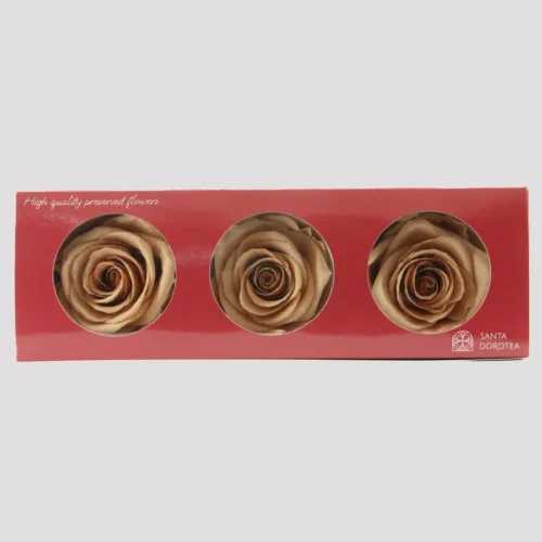 Preserved Nude Roses