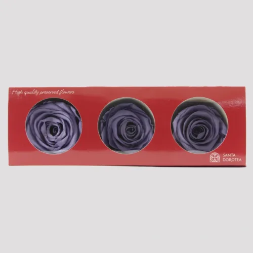Very grape preserved roses