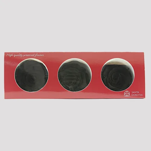 Preserved Roses Carbon Black
